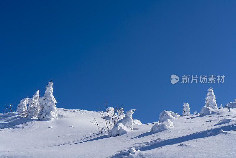 Velika Planina的冰冻冬季景观映衬着蓝天